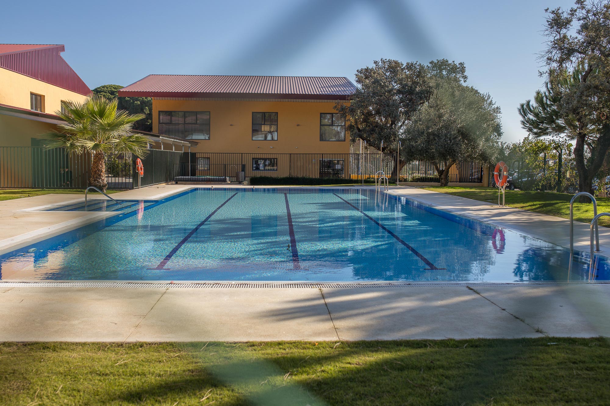 Piscina Instalaciones del CBS, The British School of Seville