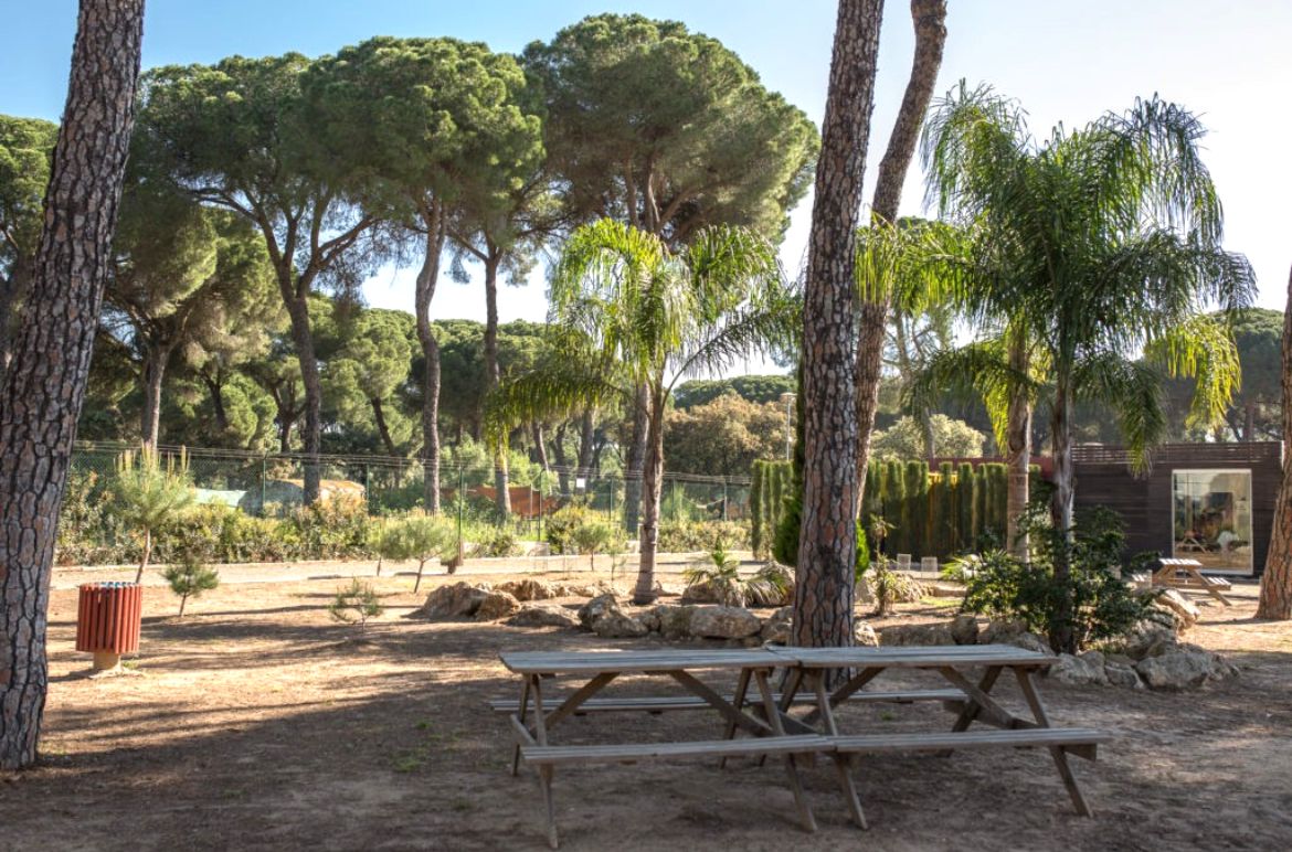 Zonas de recreo patio trasero